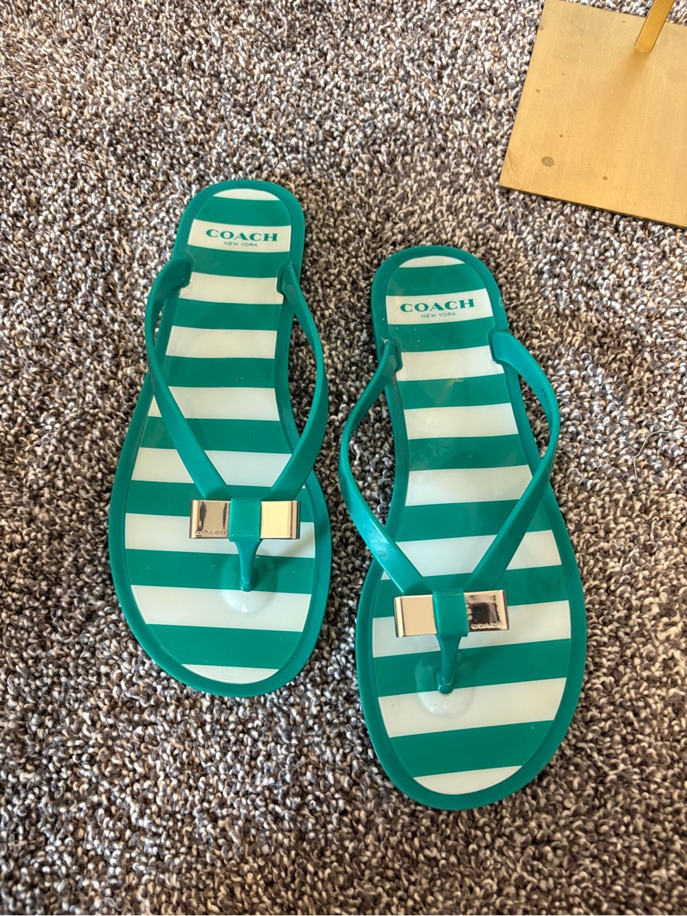 Coach Landon Jelly Flip Flops